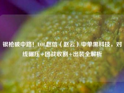 银枪破中路！LOL赵信（赵云）中单黑科技，对线碾压+团战收割+出装全解析