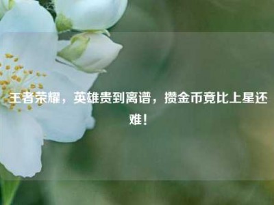 王者荣耀，英雄贵到离谱，攒金币竟比上星还难！