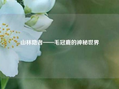 山林隐者——毛冠鹿的神秘世界