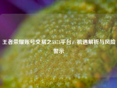王者荣耀账号交易之5173平台，机遇解析与风险警示