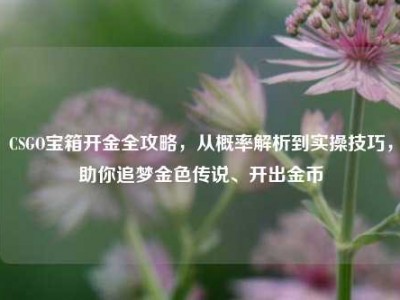 CSGO宝箱开金全攻略，从概率解析到实操技巧，助你追梦金色传说、开出金币