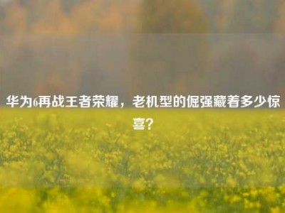 华为6再战王者荣耀，老机型的倔强藏着多少惊喜？