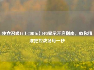 使命召唤16（COD16）FPS显示开启指南，教你精准把控战场每一秒