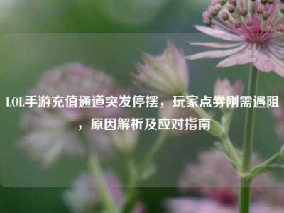 LOL手游充值通道突发停摆，玩家点券刚需遇阻，原因解析及应对指南