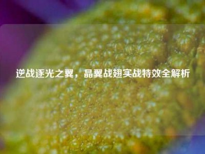 逆战逐光之翼，晶翼战翅实战特效全解析
