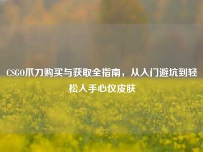 CSGO爪刀购买与获取全指南，从入门避坑到轻松入手心仪皮肤