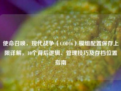 使命召唤，现代战争（COD16）模组配置保存上限详解，10个背后逻辑、管理技巧及存档位置指南