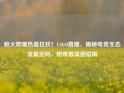 枪火燃爆热血狂欢！CSGO直播，揭秘电竞生态流量密码，附观看渠道指南