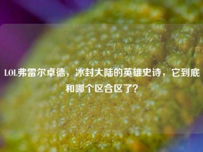 LOL弗雷尔卓德，冰封大陆的英雄史诗，它到底和哪个区合区了？