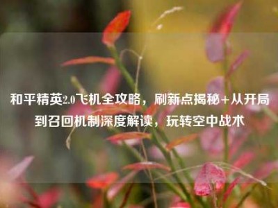 和平精英2.0飞机全攻略，刷新点揭秘+从开局到召回机制深度解读，玩转空中战术