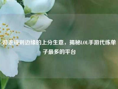 游走规则边缘的上分生意，揭秘LOL手游代练单子最多的平台