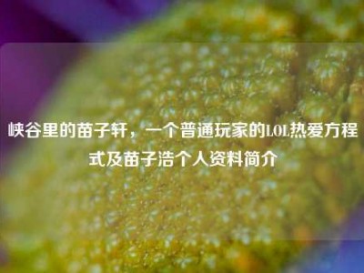 峡谷里的苗子轩，一个普通玩家的LOL热爱方程式及苗子浩个人资料简介