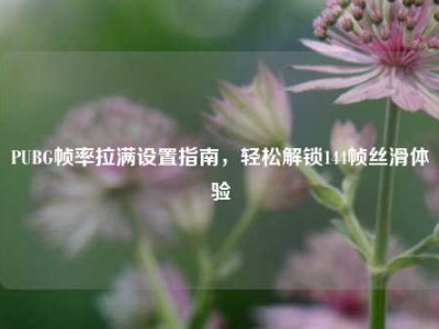 PUBG帧率拉满设置指南，轻松解锁144帧丝滑体验