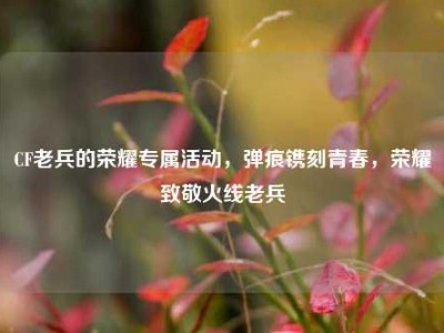 CF老兵的荣耀专属活动，弹痕镌刻青春，荣耀致敬火线老兵
