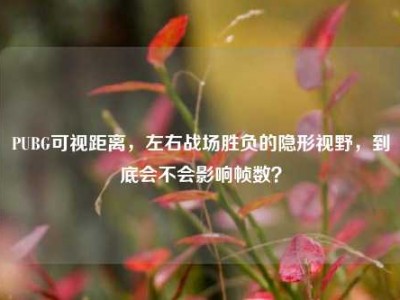 PUBG可视距离，左右战场胜负的隐形视野，到底会不会影响帧数？