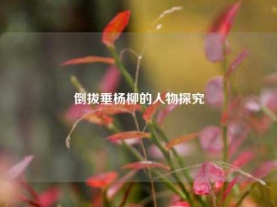 倒拔垂杨柳的人物探究
