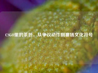 CSGO里的茶包，从争议动作到赛场文化符号