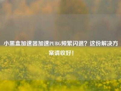 小黑盒加速器加速PUBG频繁闪退？这份解决方案请收好！