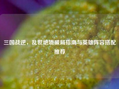三国战逆，乱世绝境破局指南与英雄阵容搭配推荐
