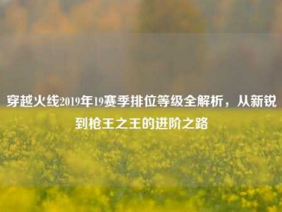 穿越火线2019年19赛季排位等级全解析，从新锐到枪王之王的进阶之路