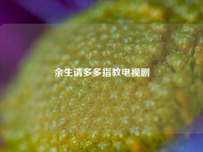 余生请多多指教电视剧