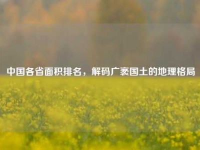中国各省面积排名，解码广袤国土的地理格局