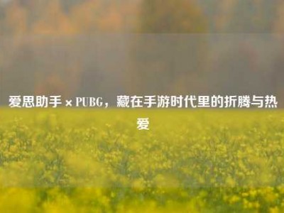 爱思助手×PUBG，藏在手游时代里的折腾与热爱