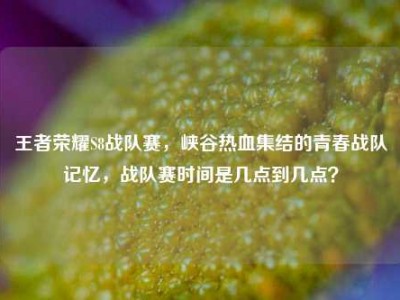 王者荣耀S8战队赛，峡谷热血集结的青春战队记忆，战队赛时间是几点到几点？