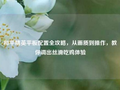 和平精英平板配置全攻略，从画质到操作，教你调出丝滑吃鸡体验