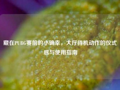藏在PUBG赛前的小确幸，大厅待机动作的仪式感与使用指南