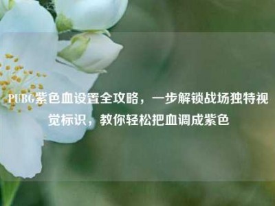 PUBG紫色血设置全攻略，一步解锁战场独特视觉标识，教你轻松把血调成紫色