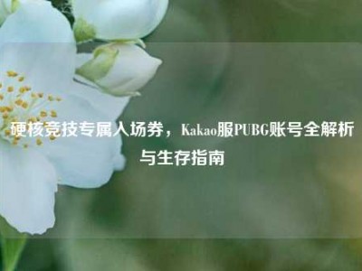 硬核竞技专属入场券，Kakao服PUBG账号全解析与生存指南
