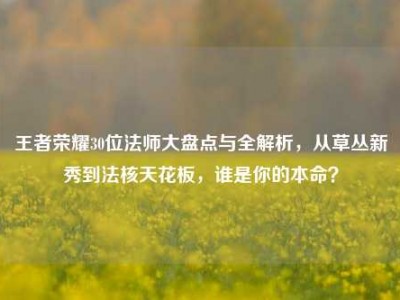 王者荣耀30位法师大盘点与全解析，从草丛新秀到法核天花板，谁是你的本命？