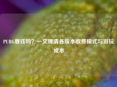 PUBG要钱吗？一文理清各版本收费模式与游玩成本