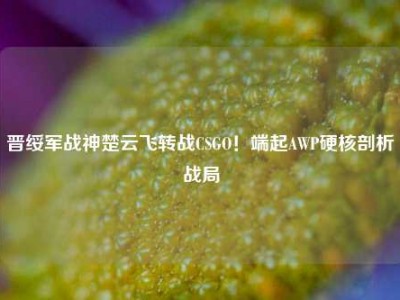 晋绥军战神楚云飞转战CSGO！端起AWP硬核剖析战局