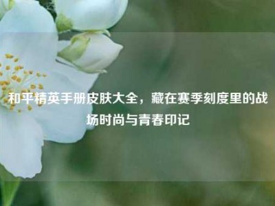和平精英手册皮肤大全，藏在赛季刻度里的战场时尚与青春印记