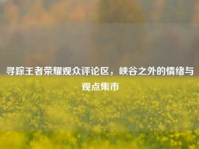 寻踪王者荣耀观众评论区，峡谷之外的情绪与观点集市