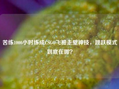 苦练1000小时练成CSGO飞檐走壁神技，跳跃模式到底在哪？