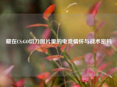 藏在CS:GO切刀图片里的电竞情怀与战术密码