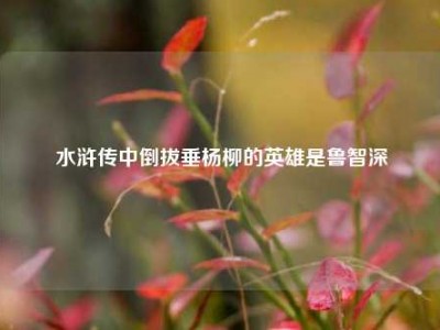 水浒传中倒拔垂杨柳的英雄是鲁智深