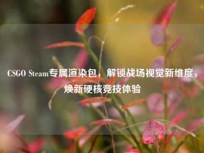 CSGO Steam专属渲染包，解锁战场视觉新维度，焕新硬核竞技体验