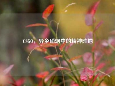 CSGO，异乡硝烟中的精神阵地