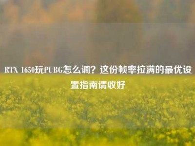 RTX 1650玩PUBG怎么调？这份帧率拉满的最优设置指南请收好