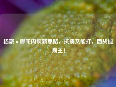 杨戬×哪吒肉装新思路，抗揍又能打，团战搅局王！