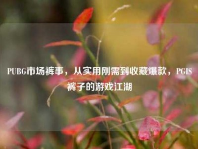 PUBG市场裤事，从实用刚需到收藏爆款，PGIS裤子的游戏江湖