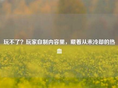 玩不了？玩家自制内容里，藏着从未冷却的热血