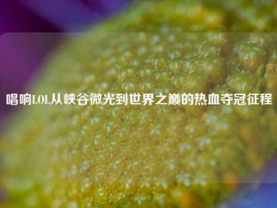 唱响LOL从峡谷微光到世界之巅的热血夺冠征程