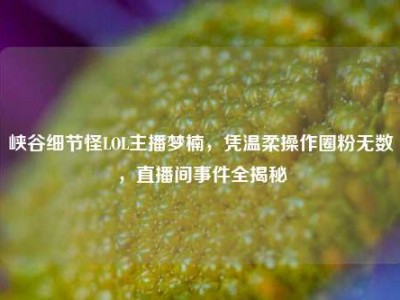 峡谷细节怪LOL主播梦楠，凭温柔操作圈粉无数，直播间事件全揭秘