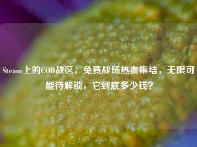 Steam上的COD战区，免费战场热血集结，无限可能待解锁，它到底多少钱？