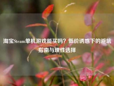 淘宝Steam单机游戏能买吗？低价诱惑下的避坑指南与理性选择